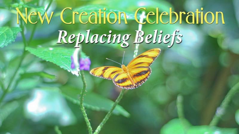 Replacing Beliefs