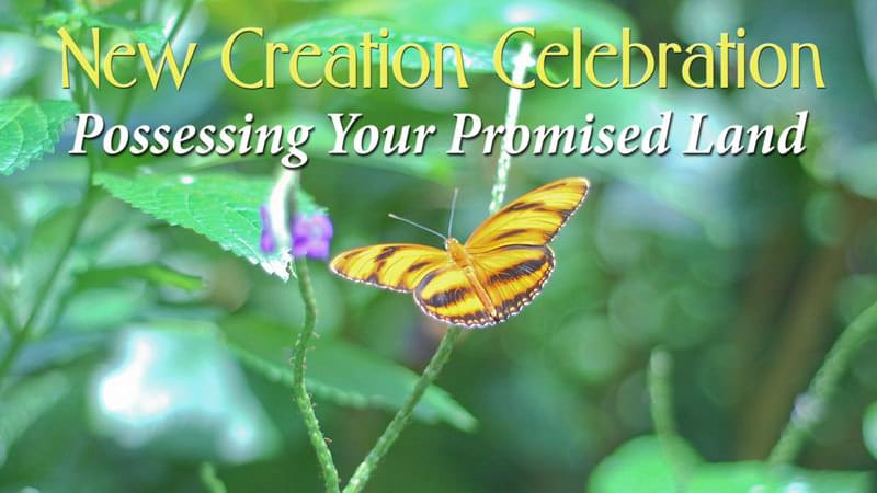 Possessing Your Promised Land